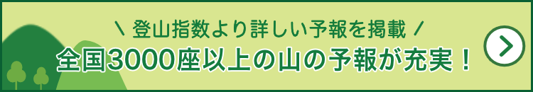 �R�̎g�����K�C�h��