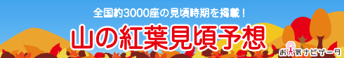 �R�̍g�t�����\�z