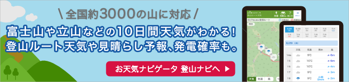 ���V�C�i�r�Q�[�^�o�R�i�r